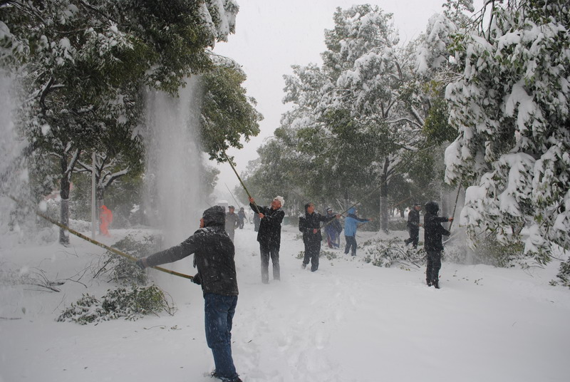 淮南師范學(xué)院召開抗雪防災(zāi)工作會議，加強(qiáng)校園安全工作