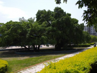 贛南師范學(xué)院科技學(xué)院2023年學(xué)費(fèi)、收費(fèi)多少