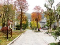 吉首師范大學(xué)張家界學(xué)院2023年學(xué)費(fèi)、收費(fèi)多少