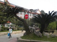 四川大學(xué)師范學(xué)院望江校區(qū)2023年學(xué)費(fèi)、收費(fèi)多少