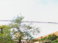 西安職業(yè)中等幼師專業(yè)學(xué)校2023年報(bào)名條件、招生要求、招生對(duì)象