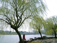 金華職業(yè)技術(shù)師范學院2023年學費、收費多少