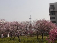 漯河職業(yè)技術(shù)師范學(xué)院歷年招生錄取分數(shù)線