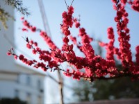 山東威海藝術(shù)幼兒師范學(xué)校2023年學(xué)費、收費多少