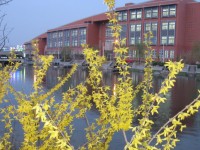 鄭州大學(xué)師范學(xué)院南校區(qū)2023年學(xué)費(fèi)、收費(fèi)多少