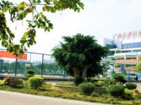 廣西大學(xué)行健文理師范學(xué)院2023年學(xué)費(fèi)、收費(fèi)多少