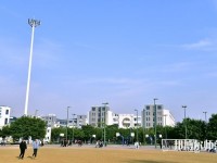 柳州城市職業(yè)師范學院2023年招生辦聯系電話