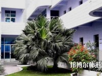 四川信息工程幼兒師范學(xué)校2023年報(bào)名條件、招生要求、招生對象