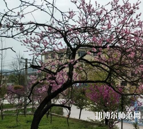 貴陽(yáng)中華幼師職業(yè)學(xué)校2023年怎么樣、好不好