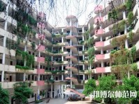 合江少岷幼兒師范職業(yè)技術(shù)學校2023年怎么樣、好不好