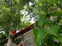 河北航空管理幼兒師范中等專業(yè)學(xué)校2023年怎么樣，好不好