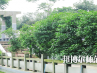 德陽通用電子科技幼兒師范學(xué)校2021年報(bào)名條件、招生要求、招生對(duì)象
