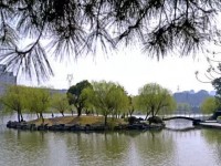 浙江幼師學(xué)校大專(zhuān)好的學(xué)校