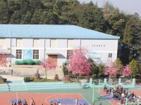 云南林業(yè)幼兒師范高級技工學(xué)校2023年學(xué)費、收費多少