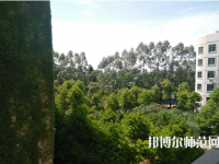 江西中專幼師學(xué)?？梢钥即髮? /><b>江西中專幼師學(xué)?？梢钥即髮?/b><span>2019-09-12 10:09</span><p>如果現(xiàn)在是中專學(xué)歷的話，可以選擇一所大專院校參加學(xué)校的對口升學(xué)考試，要知道現(xiàn)在的中專學(xué)歷就相當(dāng)于高中學(xué)歷的，所以還是要找</p></a></li>
            <li><a href=
