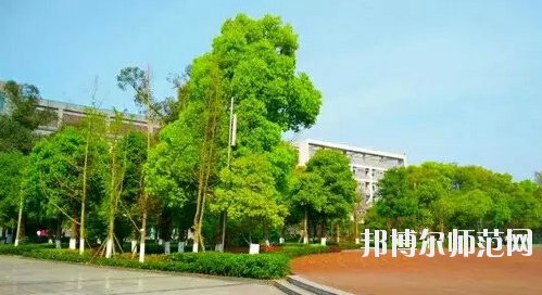 重慶市九龍坡幼師職業(yè)教育中心怎么樣、好不好。
