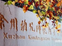 徐州幼兒師范高等?？茖W(xué)校有哪些專業(yè)