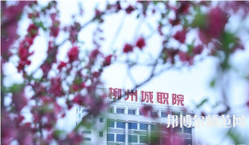 柳州城市職業(yè)師范學(xué)院怎么樣、好不好