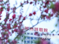 柳州城市職業(yè)師范學(xué)院2023年怎么樣、好不好