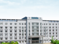 黑龍江幼兒師范高等?？茖W(xué)校2023年招生代碼