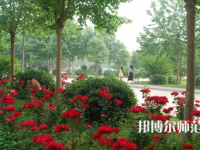 河南科技職業(yè)師范大學(xué)2023年報名條件、招生要求、招生對象