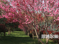 河南科技職業(yè)師范大學(xué)2023年怎么樣、好不好