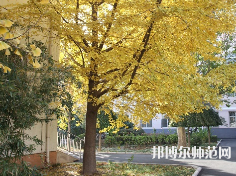 北京京北職業(yè)師范技術(shù)學(xué)院2023年報(bào)名條件、招生要求、招生對(duì)象