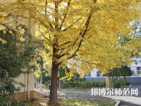 北京京北職業(yè)師范技術(shù)學(xué)院2023年報(bào)名條件、招生要求、招生對(duì)象