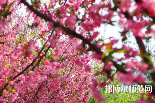 鄭州大學(xué)師范學(xué)院主校區(qū)2023年報名條件、招生要求、招生對象