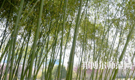 周口職業(yè)技術(shù)師范學(xué)院開元校區(qū)2023年報名條件、招生要求、招生對象