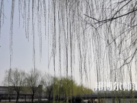 鶴壁職業(yè)技術(shù)師范學(xué)院2023年怎么樣、好不好