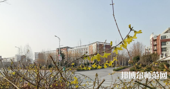 鶴壁職業(yè)技術(shù)師范學(xué)院2023年報名條件、招生要求、招生對象