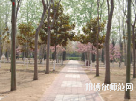 濮陽職業(yè)技術師范學院2023年報名條件、招生要求、招生對象