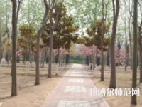 濮陽職業(yè)技術(shù)師范學(xué)院2023年報名條件、招生要求、招生對象