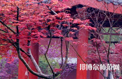 駐馬店師范職業(yè)技術(shù)學(xué)院2023年怎么樣、好不好