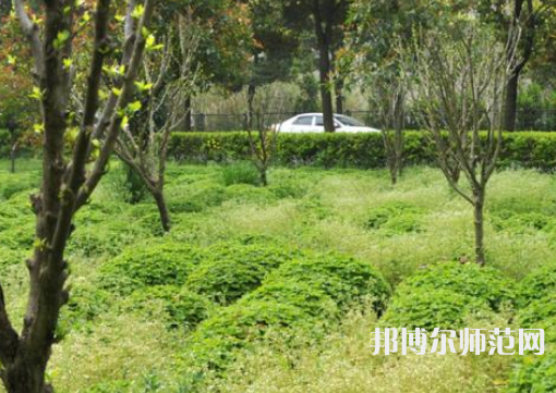 駐馬店師范職業(yè)技術(shù)學(xué)院2023年報(bào)名條件、招生要求、招生對象