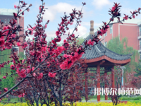 駐馬店師范職業(yè)技術(shù)學(xué)院2023年報名條件、招生要求、招生對象