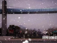溫州師范大學(xué)茶山校區(qū)2023年學(xué)費(fèi)、收費(fèi)多少