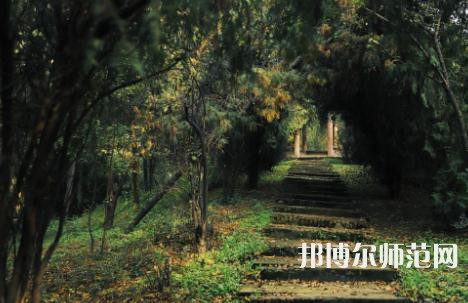 延安大學(xué)西安創(chuàng)新師范學(xué)院2023年怎么樣、好不好