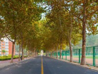 聊城師范大學(xué)東昌學(xué)院2023年報(bào)名條件、招生要求、招生對(duì)象