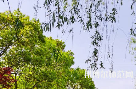 南陽理工師范學院2023年報名條件、招生要求、招生對象