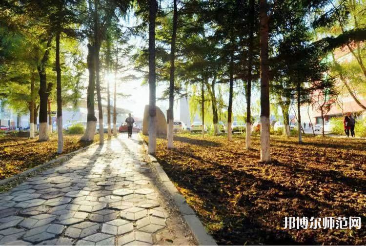 長春大學(xué)師范學(xué)院主校區(qū)2023年報名條件、招生要求、招生對象