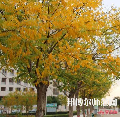 延川幼師職教中心2023年學費、收費多少