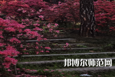 信陽(yáng)師范學(xué)院華銳學(xué)院2023年報(bào)名條件、招生要求、招生對(duì)象