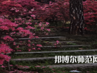 信陽(yáng)師范學(xué)院華銳學(xué)院2023年報(bào)名條件、招生要求、招生對(duì)象