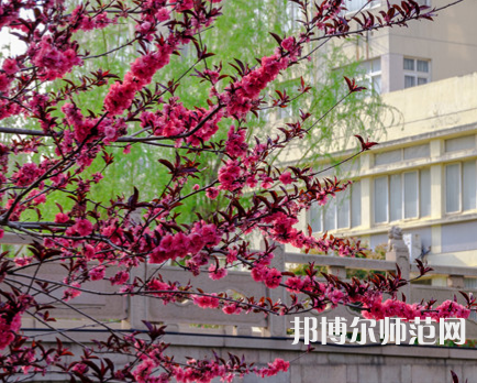 蘇州科技師范大學(xué)天平學(xué)院2023年報名條件、招生要求、招生對象