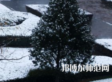 焦作師范高等專科學校2023年報名條件、招生要求、招生對象