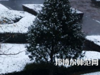 焦作師范高等?？茖W(xué)校2023年報名條件、招生要求、招生對象