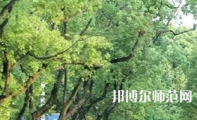 湖南理工師范學(xué)院南湖學(xué)院2023年報(bào)名條件、招生要求、招生對象