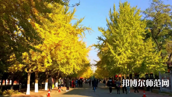 遼寧大學(xué)師范學(xué)院崇山校區(qū)2023年報(bào)名條件、招生要求、招生對(duì)象